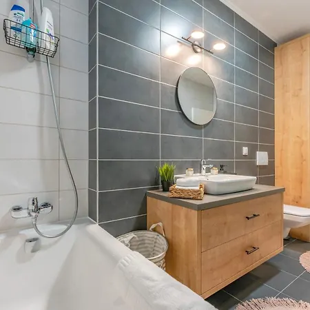 Apartment Ems Brasov